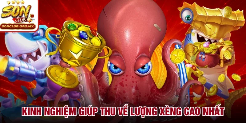 Kinh nghiệm giúp thu về lượng xèng cao nhất