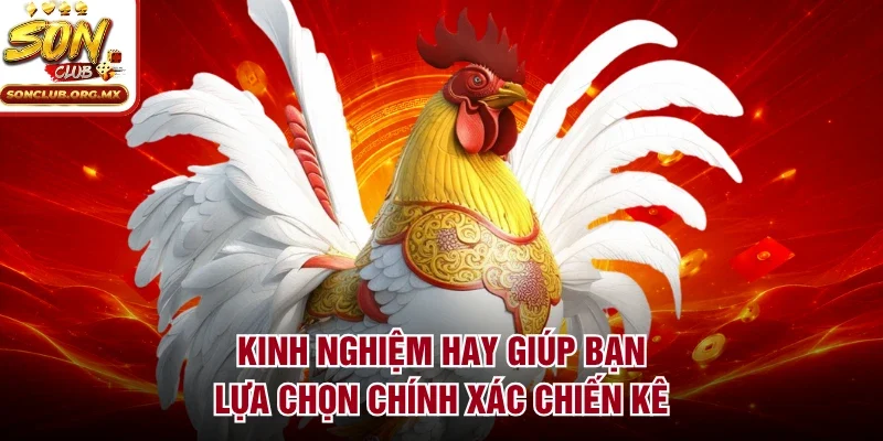 Kinh nghiệm hay giúp bạn lựa chọn chính xác chiến kê