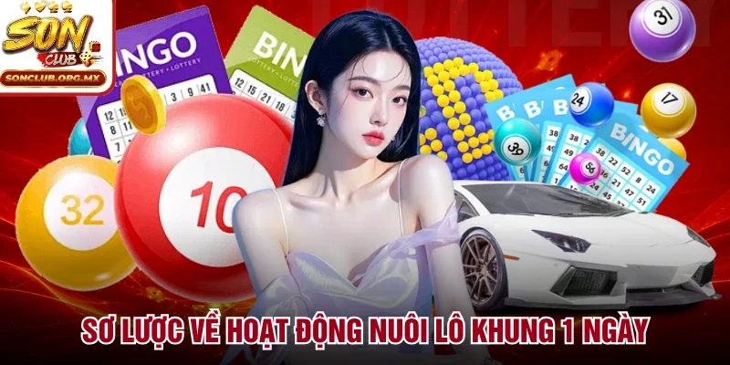 Sơ lược về hoạt động nuôi lô khung 1 ngày