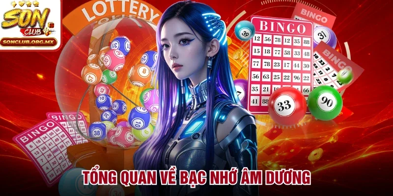 Tổng quan về bạc nhớ âm dương